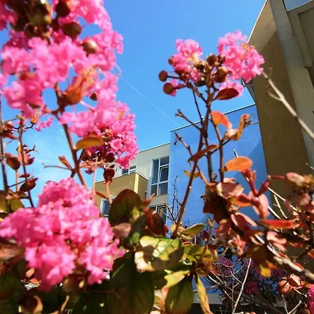 Lucky Complex Apartman Ravda