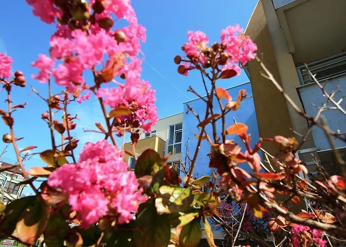 Lucky Complex Appartement Ravda